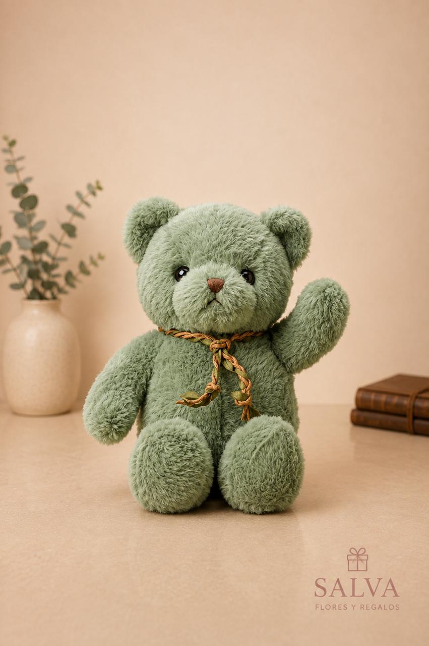 Oso Peluche 