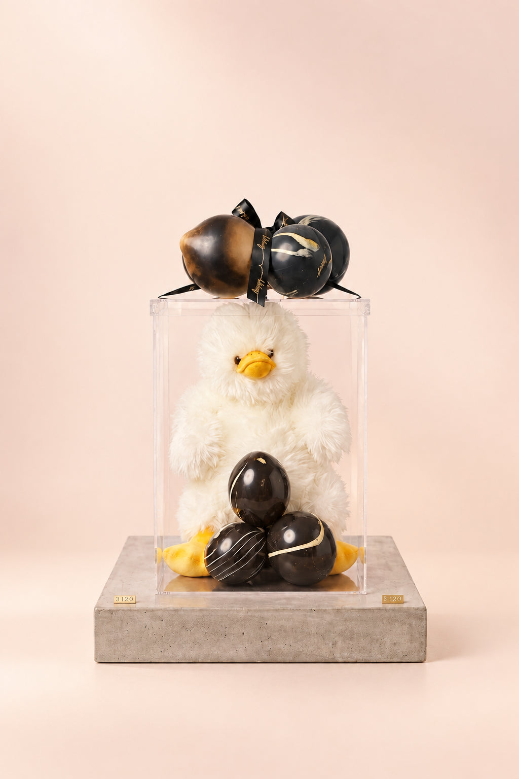 Pato de Peluche en Empaque de Lujo con Globos