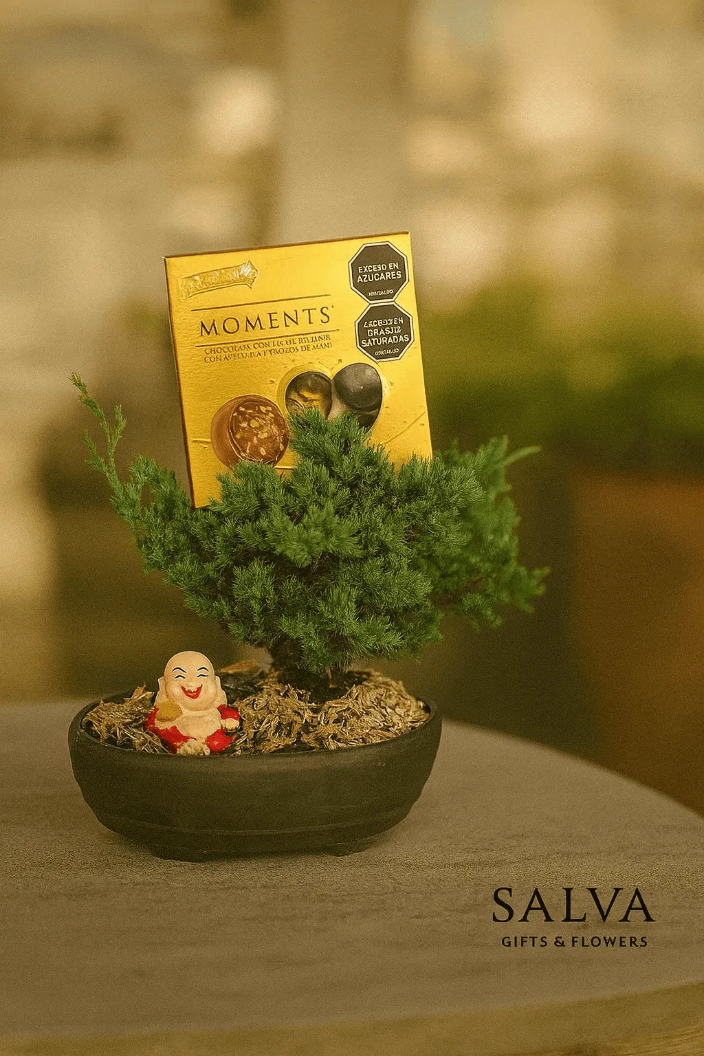 Bonsai Para Papá